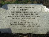 image of grave number 362919